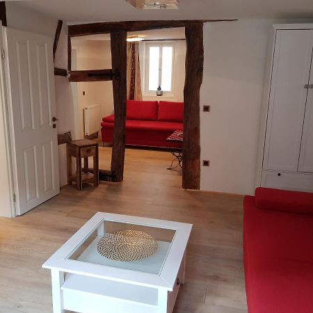 Zauberhafte Wohnung In Der Naehe Von Heidelberg, Top Lage Hirschhorn Extérieur photo