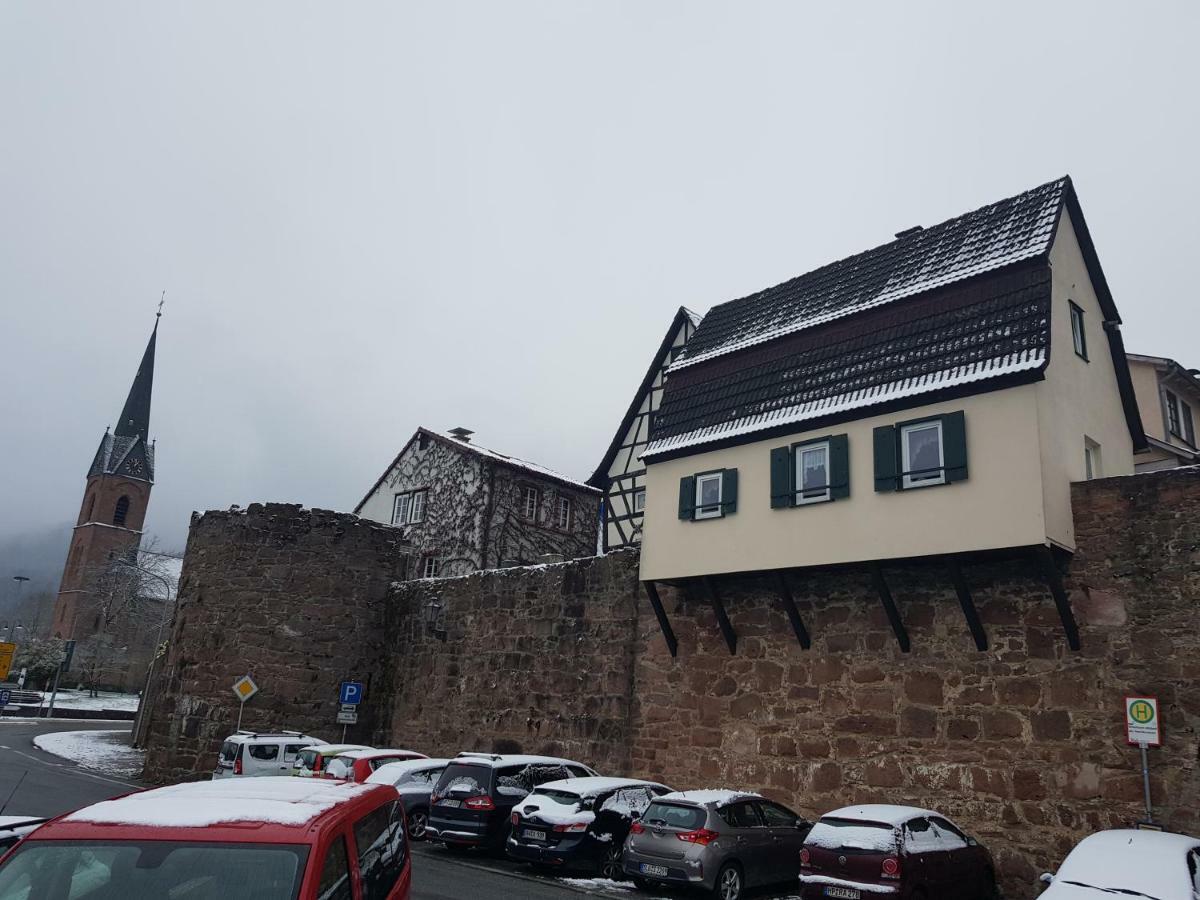 Zauberhafte Wohnung In Der Naehe Von Heidelberg, Top Lage Hirschhorn Extérieur photo