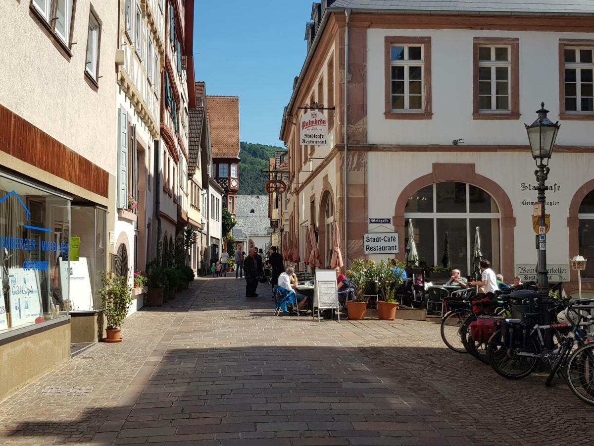 Zauberhafte Wohnung In Der Naehe Von Heidelberg, Top Lage Hirschhorn Extérieur photo