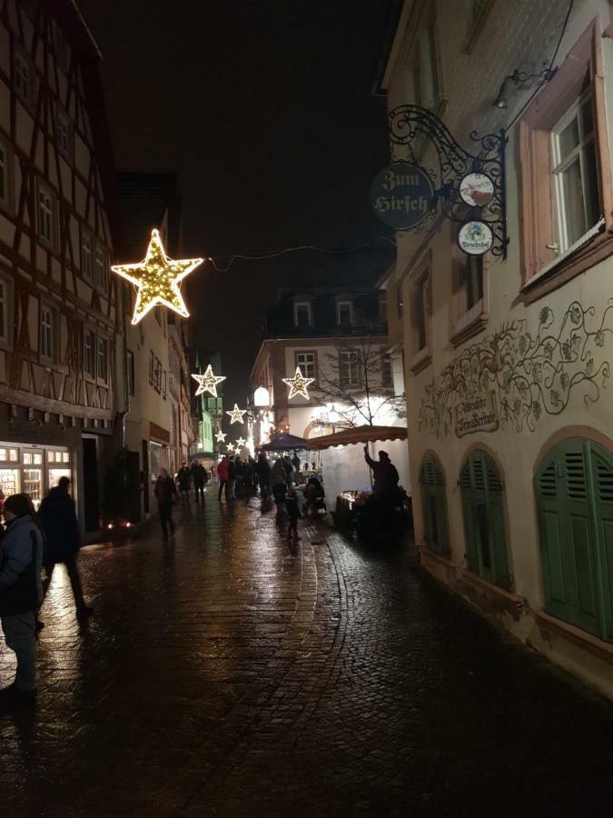 Zauberhafte Wohnung In Der Naehe Von Heidelberg, Top Lage Hirschhorn Extérieur photo