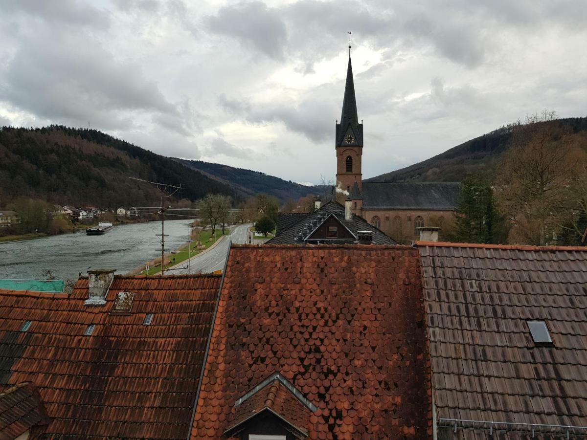 Zauberhafte Wohnung In Der Naehe Von Heidelberg, Top Lage Hirschhorn Extérieur photo